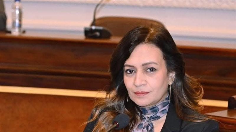 النائبة نفين فارس