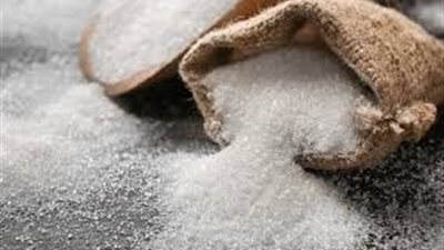 صحراء المنيا تتحول إلى ذهب أبيض.. أسرار أكبر مصنع سكر في العالم
