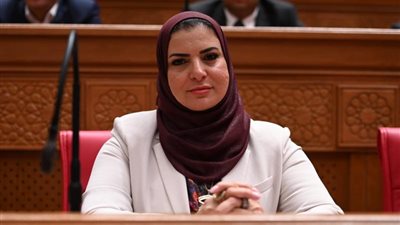 برلمانية: نجاح منطقة المشجعين بالعاصمة الجديدة يعكس قوة مصر التنظيمية