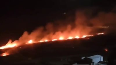 مستوطنون يضرمون النيران في أراضي زراعية برام الله