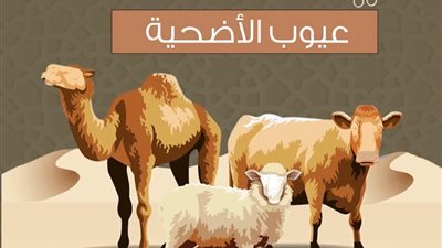 مركز الأزهر العالمي للفتوى الإلكترونية يوضح شروط صحة الأضحية.. تعرف عليها 