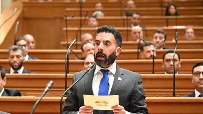 إسلام قرطام يتقدم بطلب إحاطة لمتابعة تقنين أوضاع الورش الحرفية في صقر قريش