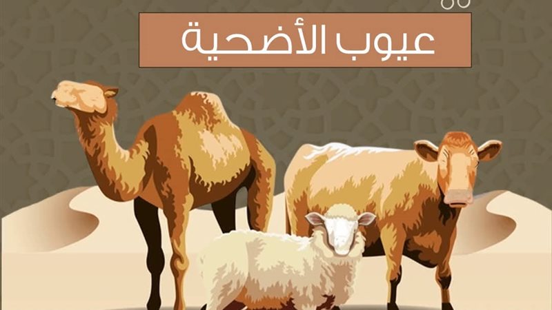 شزوط صحة الأضحية 