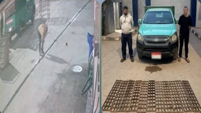 صادتهما الكاميرات.. القبض على سارقي قطع حديد من محطة وقود بكفر الشيخ