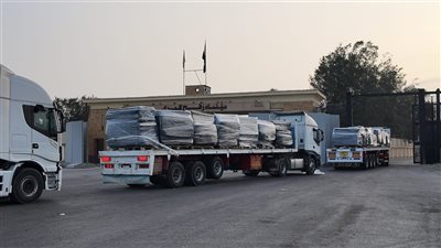 الهلال الأحمر المصري يطلق قافلة «زاد العزة» 199 بحمولة أكثر من 3 آلاف طن