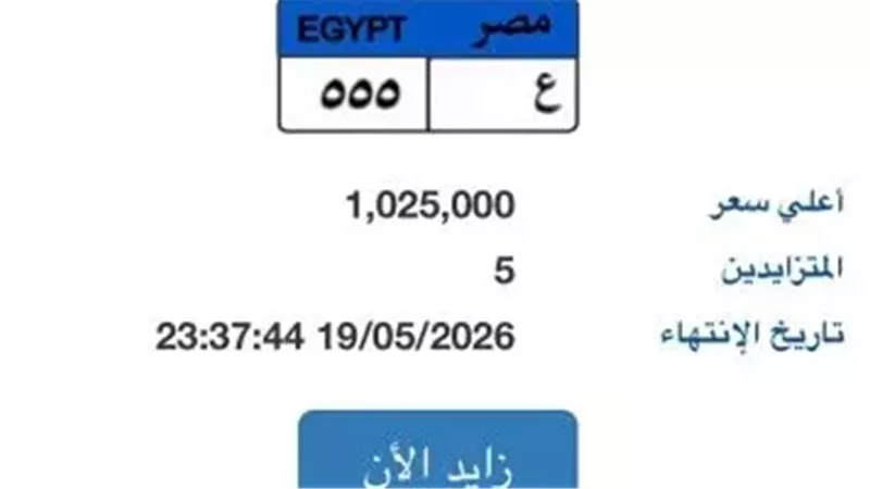 لوحة «ع - 555»