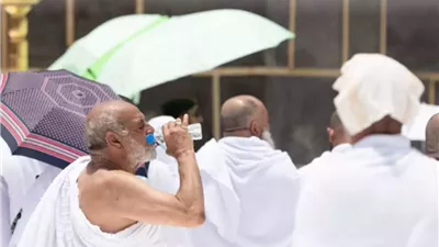 غرفة شركات السياحة: متابعة مستمرة لحجاج المشاعر حتى عودة آخر حاج 