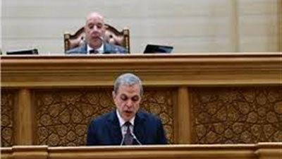 رئيس قوى عاملة النواب: صرف 10 آلاف جنيه واستخراج البطاقات العلاجية لأصحاب المعاشات