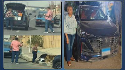 سقوط سيدة إطعام الكلاب الضالة بالقاهرة.. والأمن يفحص صفحة تبرعات للحيوانات بهاتفها