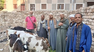 تحصين 35 ألف رأس ماشية بنهاية الأسبوع الثالث من حملة التحصين باسيوط