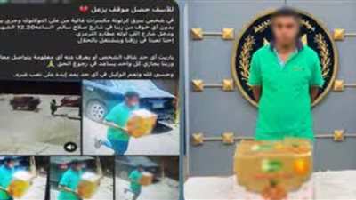 التحقيقات تكشف تفاصيل سرقة كرتونة مواد غذائية من تروسيكل في بني سويف