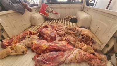 ضبط 594 كيلو لحوم بأختام مزورة بمراكز أخميم وطهطا وسوهاج