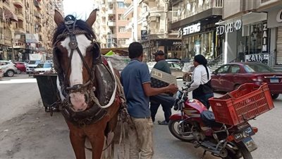 شن حملة مكبرة لغرب المنصورة في الدقهلية للقضاء على النباشين