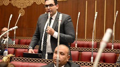 النائب أحمد ممدوح: استغلال الطاقة الشمسية ضروري لمواجهة نقص مصادر الطاقة التقليدية
