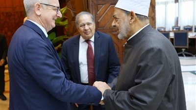 خلال استقباله سفيرها بالقاهرة.. شيخ الأزهر يشيد بمواقف أيرلندا في دعم فلسطين