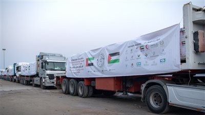 بمناسبة عيد الأضحى.. 4 قوافل مساعدات إماراتية تدخل قطاع غزة