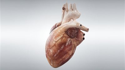 وداعاً للأجهزة الإلكترونية.. علماء ينجحون في صناعة 