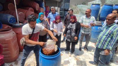 ضبط وإعدام 11 طن مواد غذائية فاسدة وغلق منشآت مخالفة بالإسكندرية