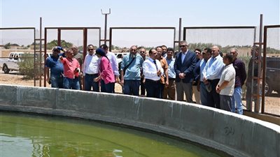 محافظ جنوب سيناء يؤكد دعم البحث العلمي لتعزيز التنمية المستدامة