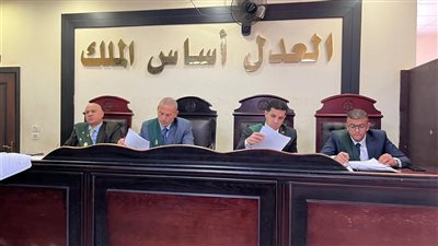 تأجيل محاكمة رئيس مجموعة القروض متناهية الصغر» بتهمة التزوير والاستيلاء