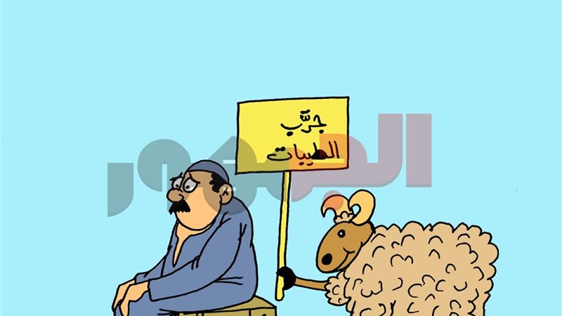 كاريكتير موقع الجمهور
