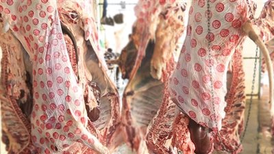 الصحة تحذر: لا تشترِ لحوم العيد قبل التأكد من ختم المجزر الرسمي