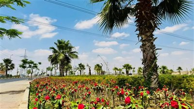 العبور الجديدة تتزين.. حملات نظافة شاملة وتهيئة أماكن التنزه لاستقبال عيد الأضحى المبارك