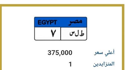 مزاد لوحة مميزة كاد يُحسم.. «ط ل س 7» بـ375 ألف جنيه