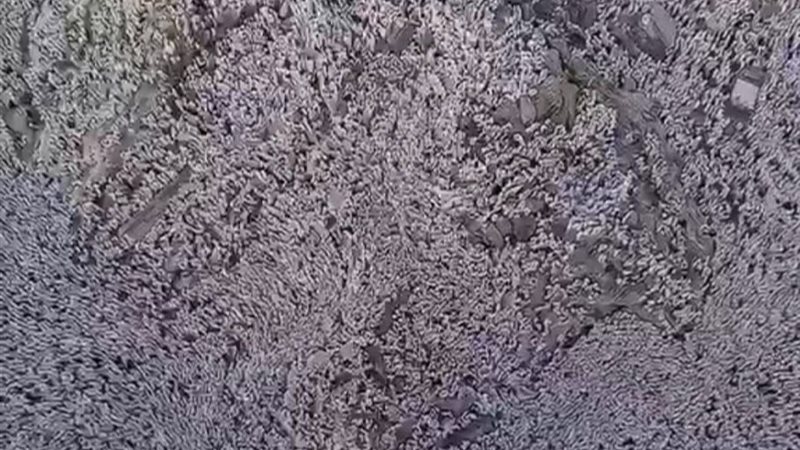 جبل عرفات اليوم 