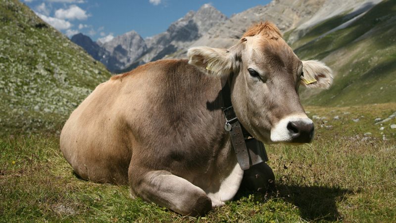 صورة تعبيرية 