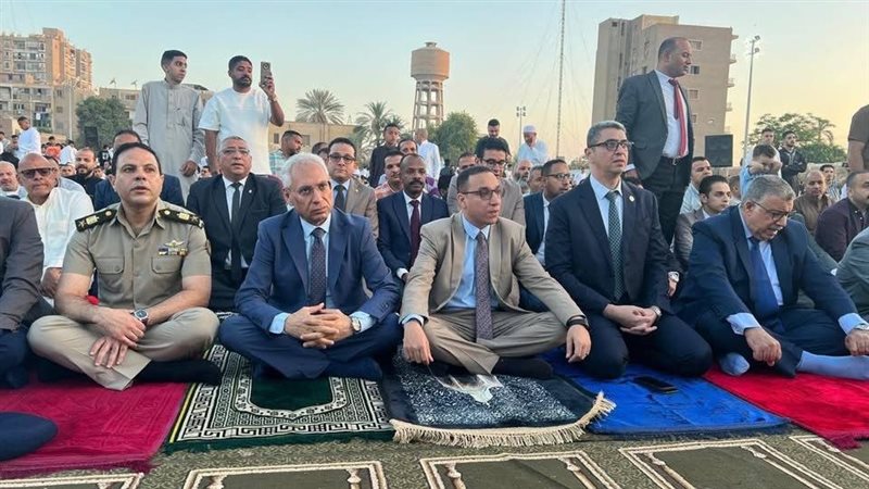 المنيا 