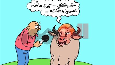 علي طريقة كاريكاتير الجمهور.. 