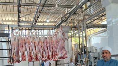  الأوقاف تواصل تنفيذ مشروع صكوك تمهيدًا لتوزيع اللحوم على الأسر الأولى بالرعاية