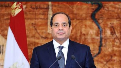 نائب: توجيهات الرئيس السيسي تؤكد استمرار الدولة في تسريع وتيرة تنفيذ المشروعات القومية
