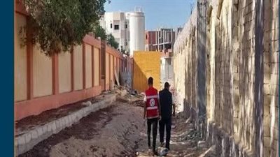 حملة بيطرية بقنا الجديدة تضبط 21 كلبًا ضالًا تمهيدًا لتحصينها