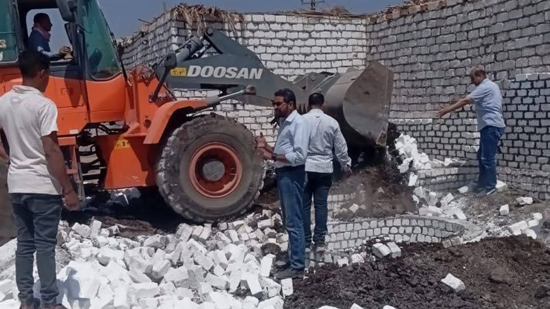 المنيا 