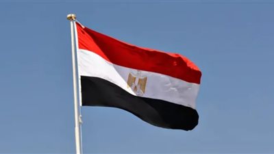 في يوم حفظة السلام.. مصر تؤكد التزامها بدعم الأمن والاستقرار الدولي