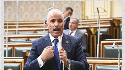 برلماني: الاقتصاد الرقمي الموازي يحتاج إلى دمج رسمي للاستفادة من طاقات الشباب