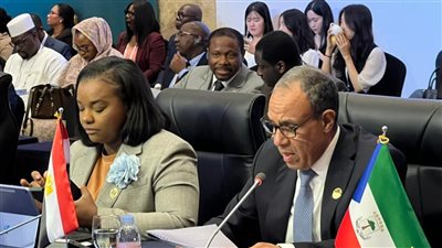وزير الخارجية يستعرض المقاربة المصرية ويشهد أعمال الاجتماع الوزاري الكوري الأفريقي