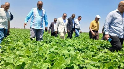 بتكليفات من 