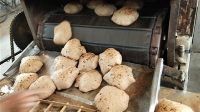 تحرير 311 محضراً تموينياً للمخابز المخالفة بأسيوط