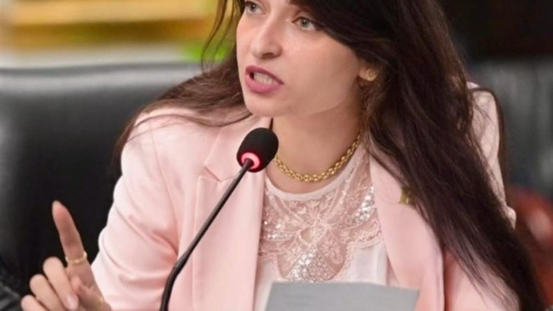 النائبة ايرين سعيد، عضو مجلس النواب 