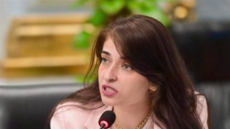 النائبة ايرين سعيد، عضو مجلس النواب 