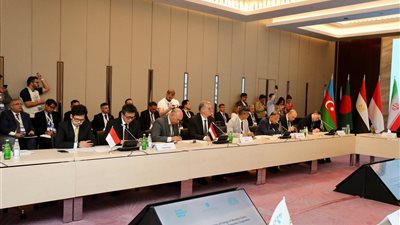 وزير البترول يشارك في الاجتماع الأول لوزراء الطاقة بمجموعة الدول الثماني النامية