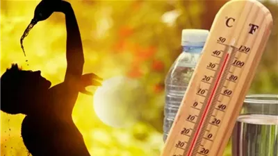 اليوم العالمي لمواجهة الحر 2026.. نصائح مهمة للوقاية من الإجهاد الحراري