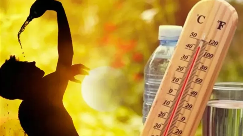 اليوم العالمي لمواجهة الحر