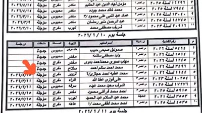 باعوا  السيارات بمستندات مزيفة.. تأجيل محاكمة «مافيا التوكيلات المزورة» لـ 10 يونيو                  