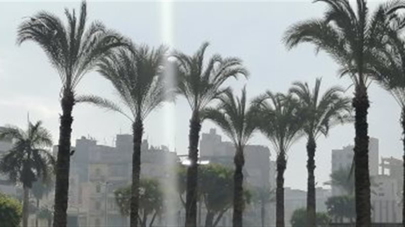 نشاط رياح 