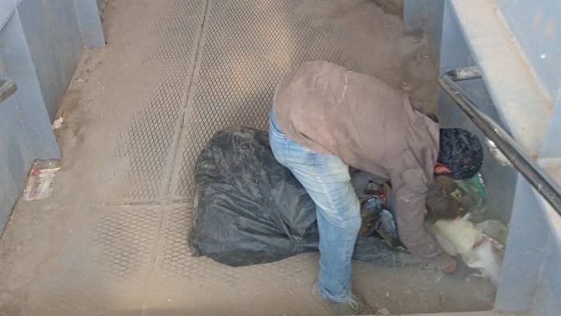 اسيوط