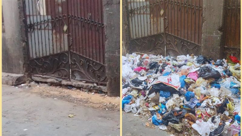 الإسكندرية 